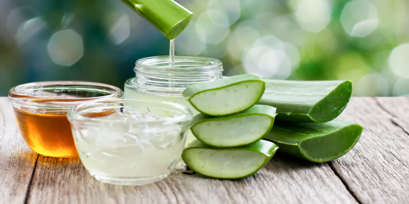 beauty formulas aloe vera gel Buy Beauty Formulas Tea Tree Skin Clarifying Blemish Gel - 30ml | Shop  Skincare Products Online main image 1