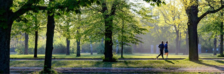 Two people out running through an alley of trees.