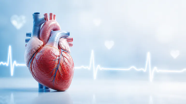 a human heart with ecg line