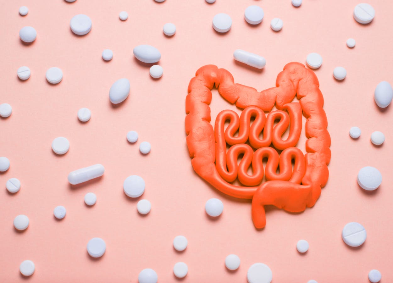 Pill capsules around the shape of an intestine