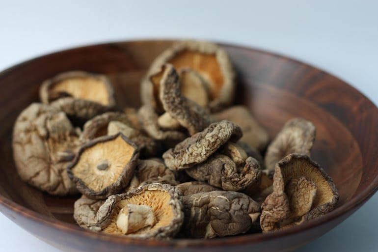 shiitake-mushroom-hero